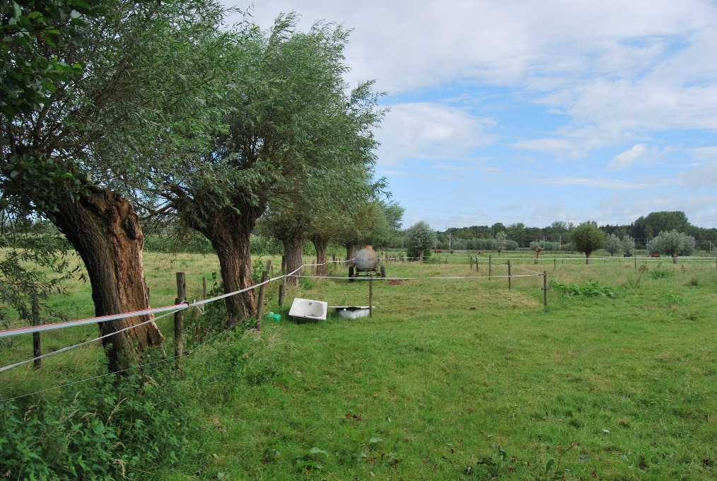 Bouwgrond/volledig te verbouwen woning op ca. 2ha te Waasmunster 