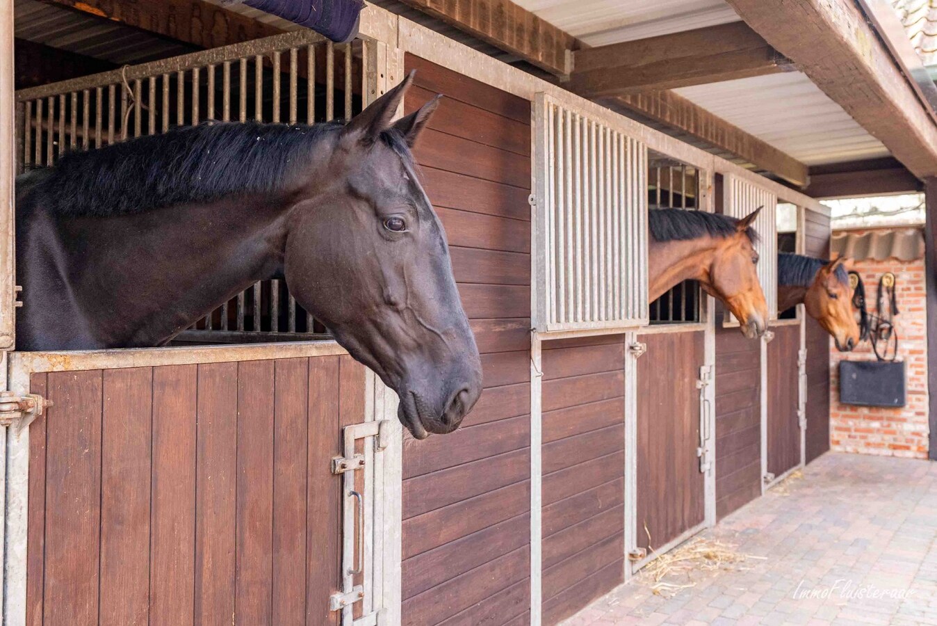 Exclusief landhuis met paardenfaciliteit op ca. 2,6 ha in Wuustwezel, (met mogelijkheid tot aankoop van ca. 6 ha aangrenzend weiland) 