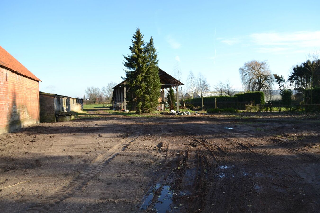 Te renoveren hoeve te St-Pauwels op 1,37Ha 