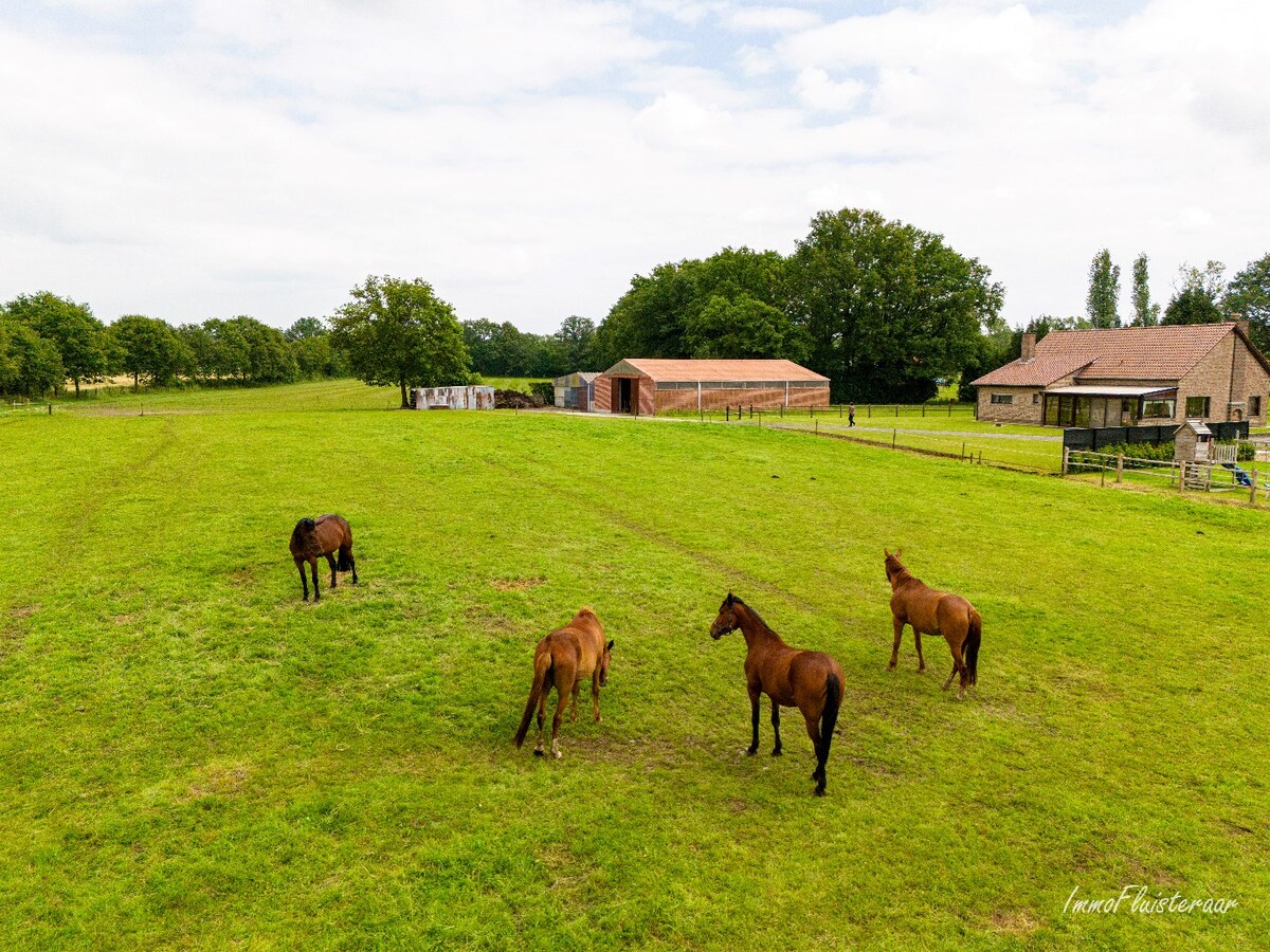 Spacious house with stable building and pastures on approximately 3.8 hectares in Berlaar. 