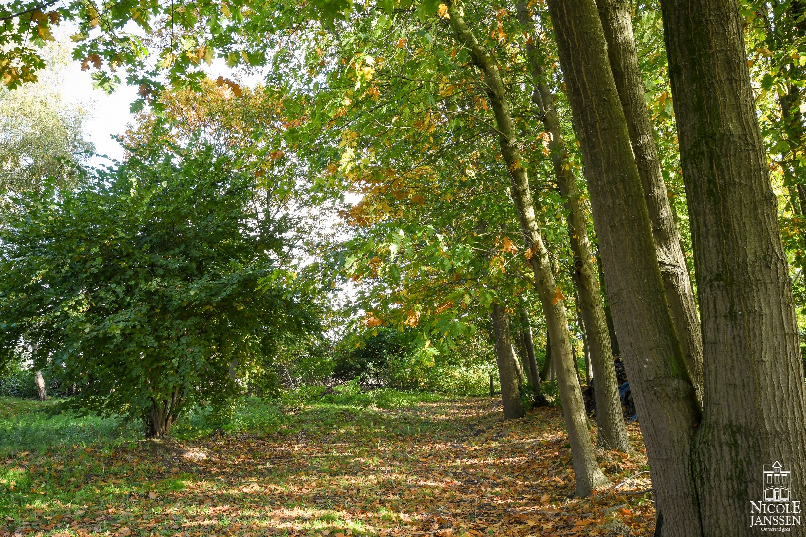 Vrijstaande, ruime gezinswoning op een royaal perceel met grote kelder en paardenstal 