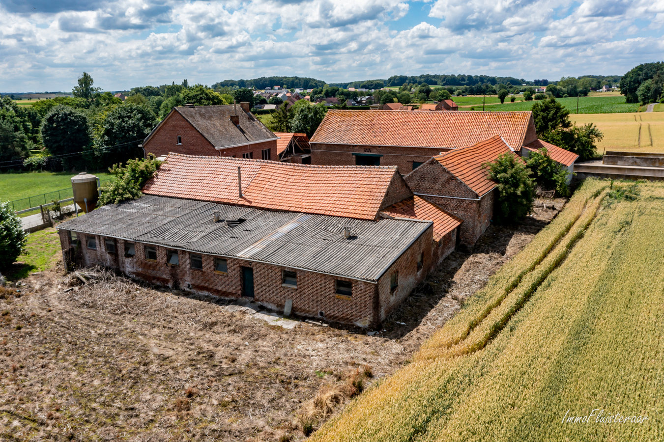 Landelijk gelegen vierkantshoeve op ca. 1ha (uitbreiding met ca. 6ha mogelijk) te Binkom (Lubbeek/Vlaams-Brabant) 