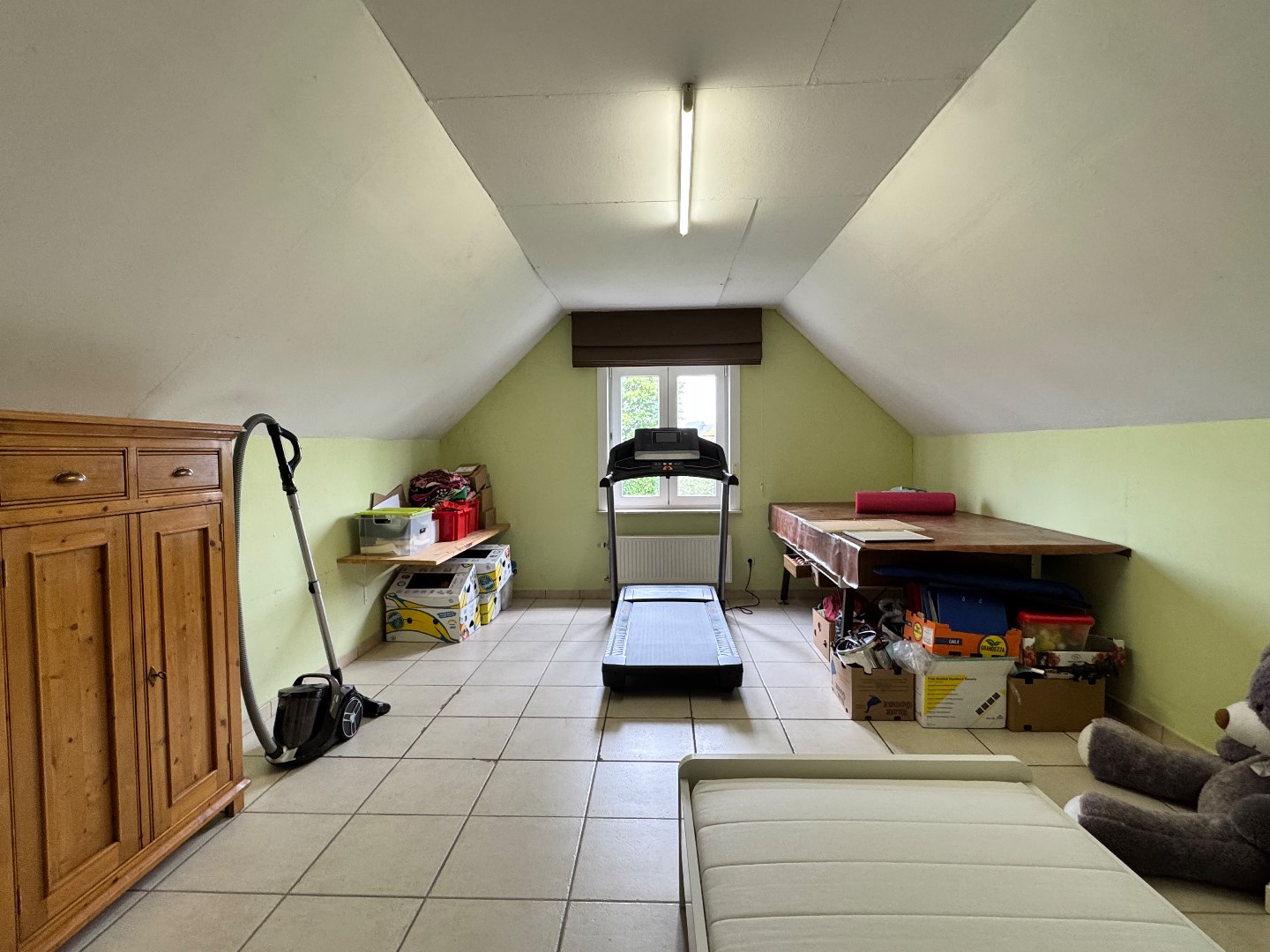 Landelijk gelegen villa met ruime tuin in Grammene. 