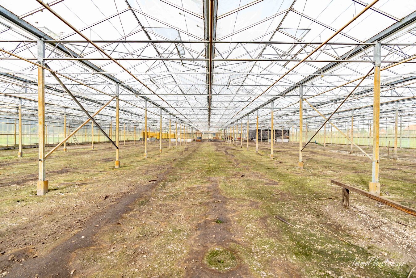 Grande maison avec des prairies et une serre sur environ 1,2 ha &#224; Hoogstraten 