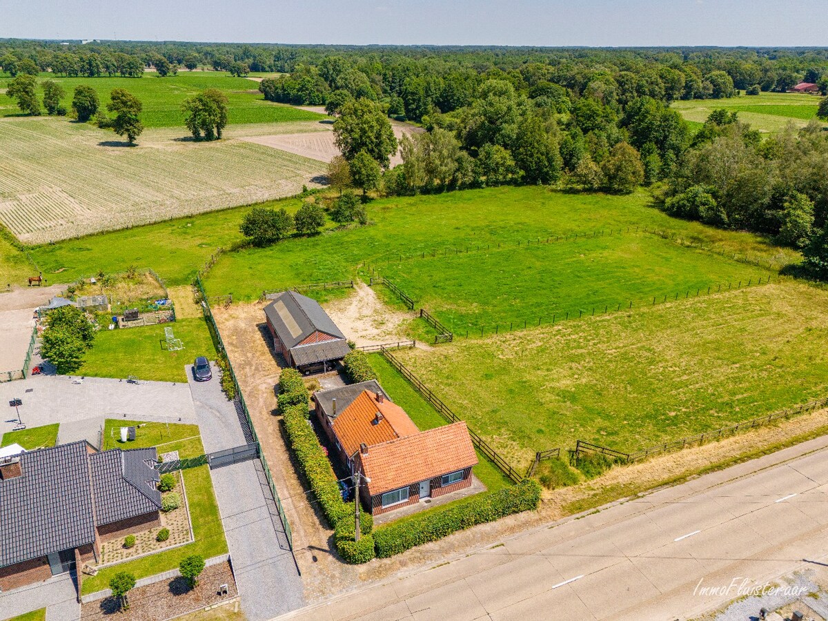 Charmante woning met paardenstallen op ca. 80 are te Peer 