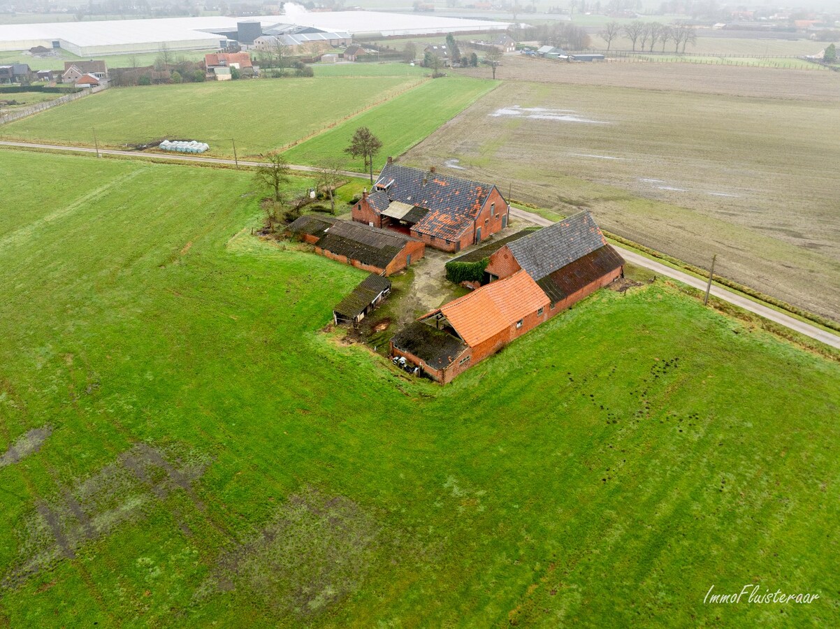 Karakteristieke hoeve met grote schuur op ca. 2 ha te Hoogstraten (Aankoop extra overliggend weiland van ca. 4 ha mogelijk) 