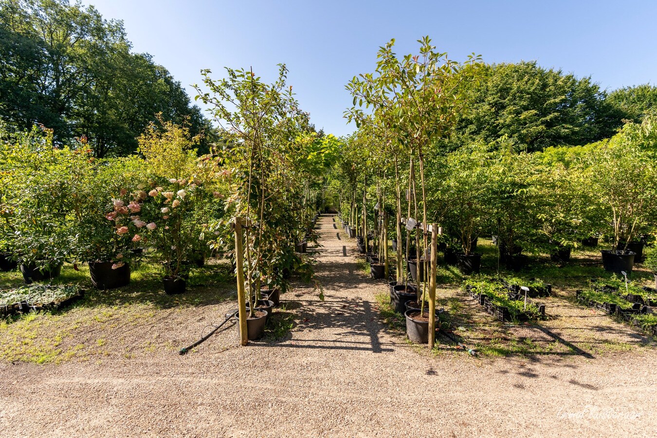 Magnifique villa avec d&#233;pendances et serres sur environ 5 hectares &#224; Itegem 