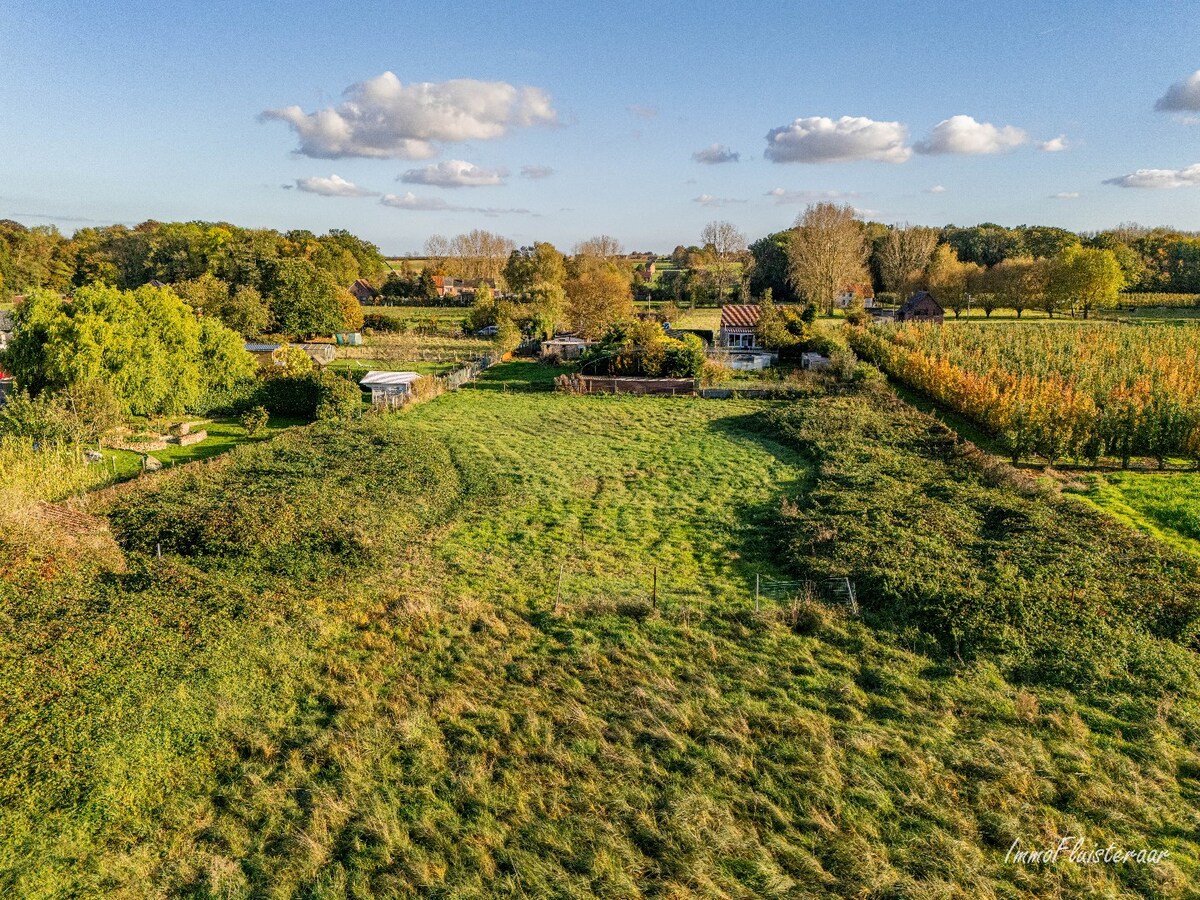 Charmante woning op een ruim perceel van ca. 78 are te Loksbergen (Halen) 