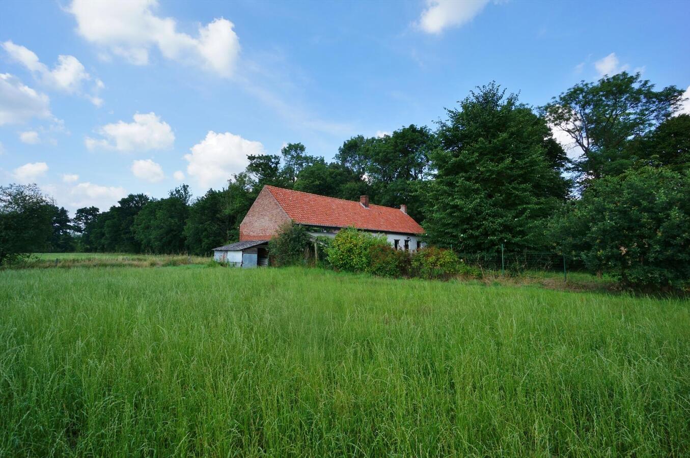 Te renoveren boerderij op unieke locatie op ca. 10ha te Diest 