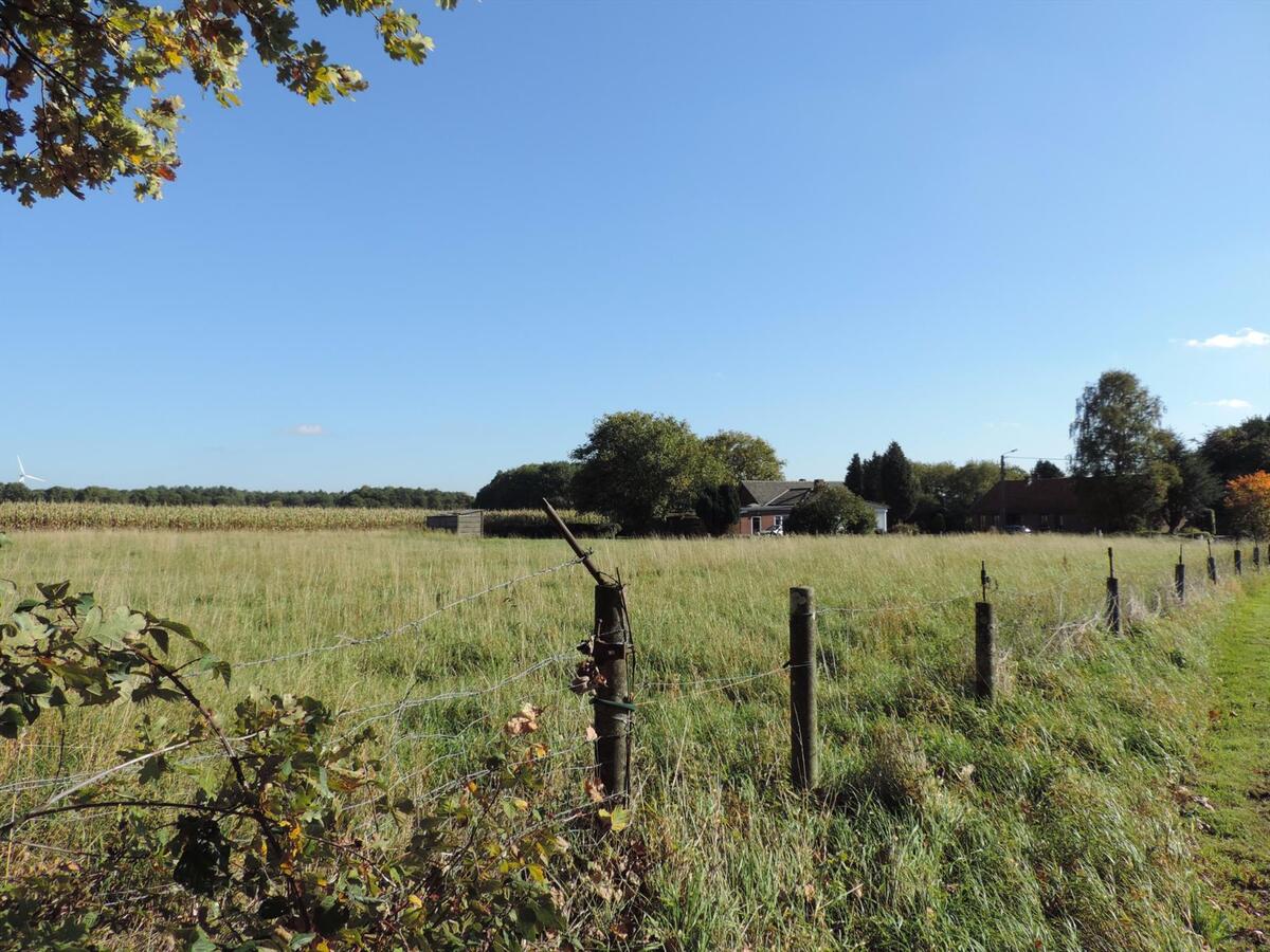 Ferme vendu À Opoeteren