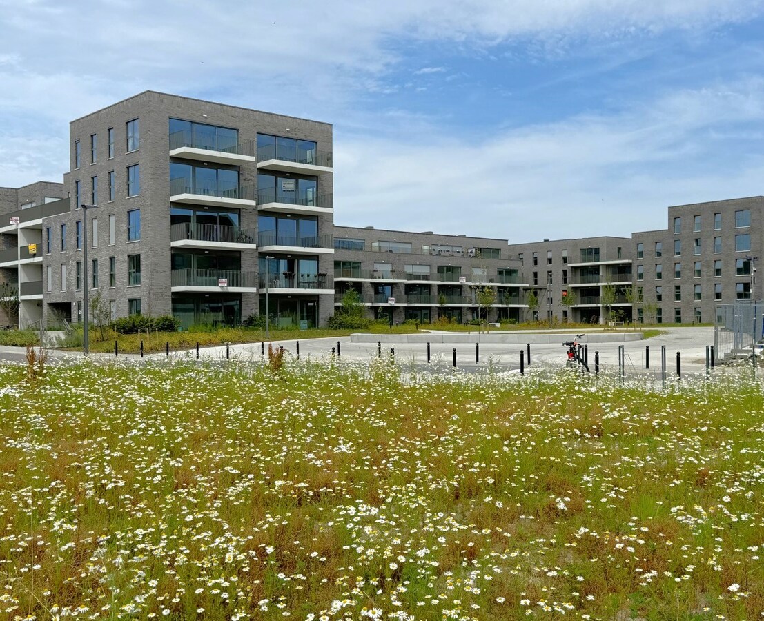 Appartement verhuurd in Turnhout