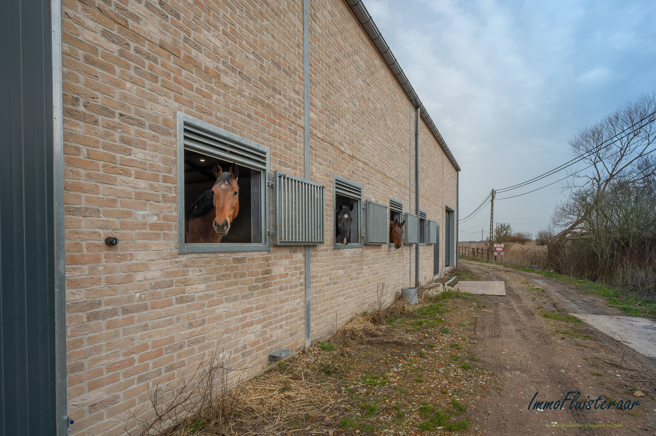 Nieuwbouw hippisch centrum met casco villa te West-Vlaanderen. 