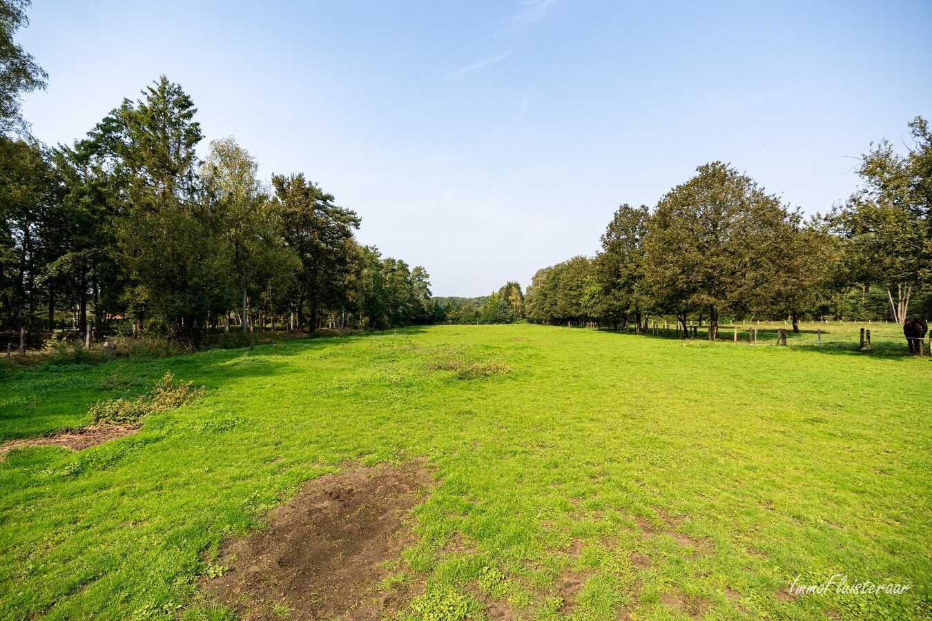 Woonhuis met een weide op ca. 68 are in een bosrijke omgeving te Beverlo 