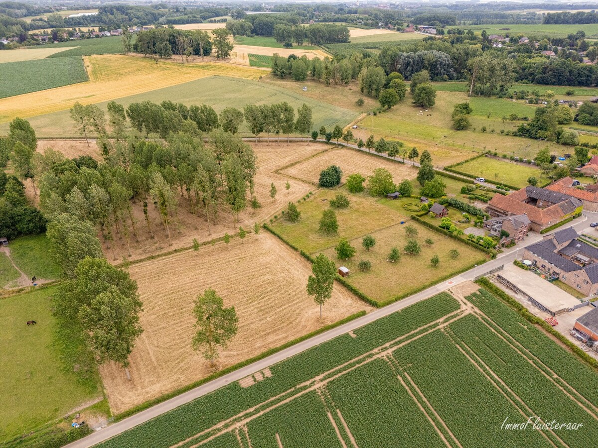 Charmante vierkantshoeve met veel potentieel op ca. 3,14 ha te Tongeren 