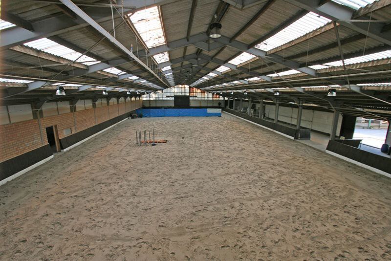 Paardenstoeterij op ca. 6ha met binnen-en butienpiste 