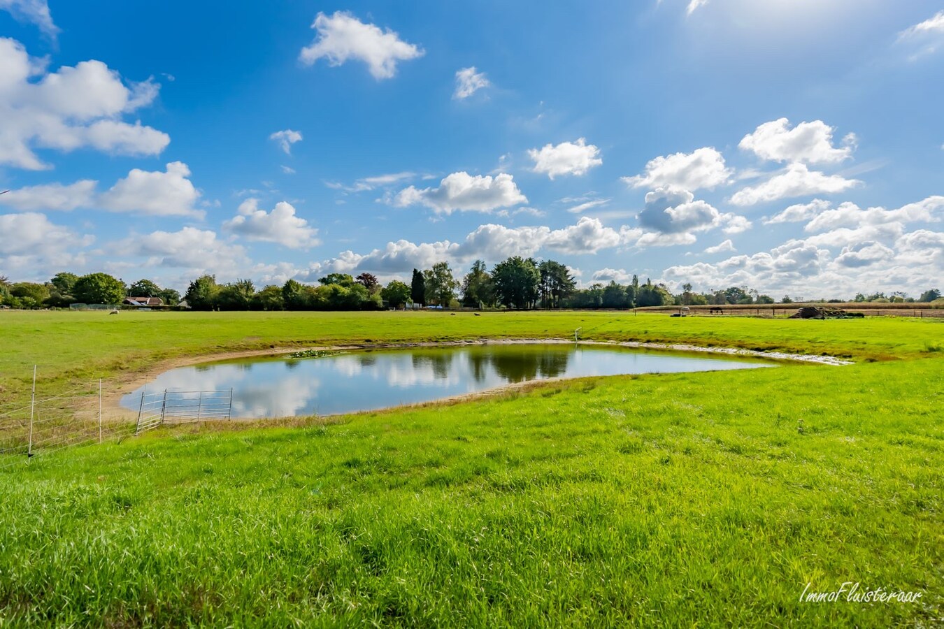 Landelijke woning met uitstekende ligging op ca. 1ha te Ham 