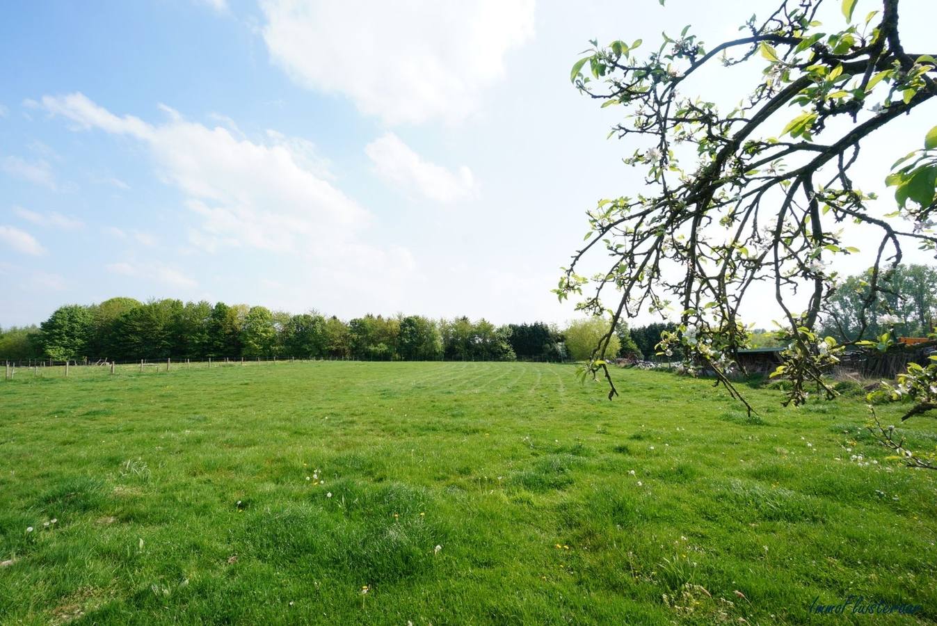 Charmante woonst met stalgebouw en weiland op ca. 69 are te Diepenbeek 