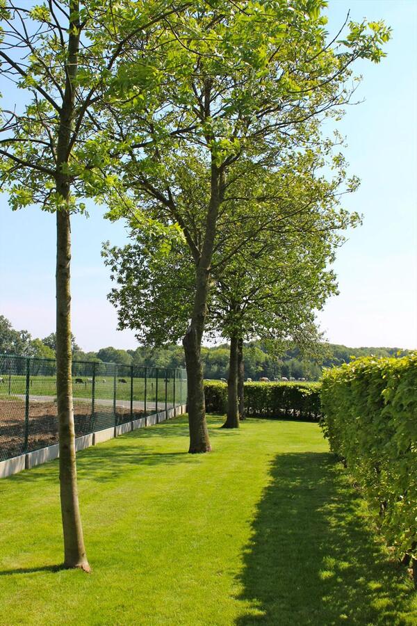 Landelijk gelegen woonhuis met bijgebouw op ca. 1Ha te Herenthout 