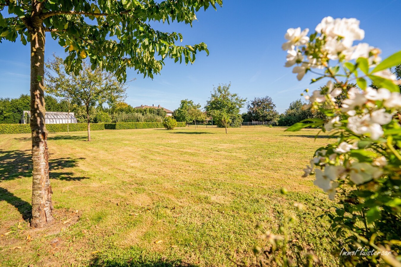 Villa de luxe avec piscine sur un grand terrain d&#39;environ 92 ares &#224; Opitter (Bree) 