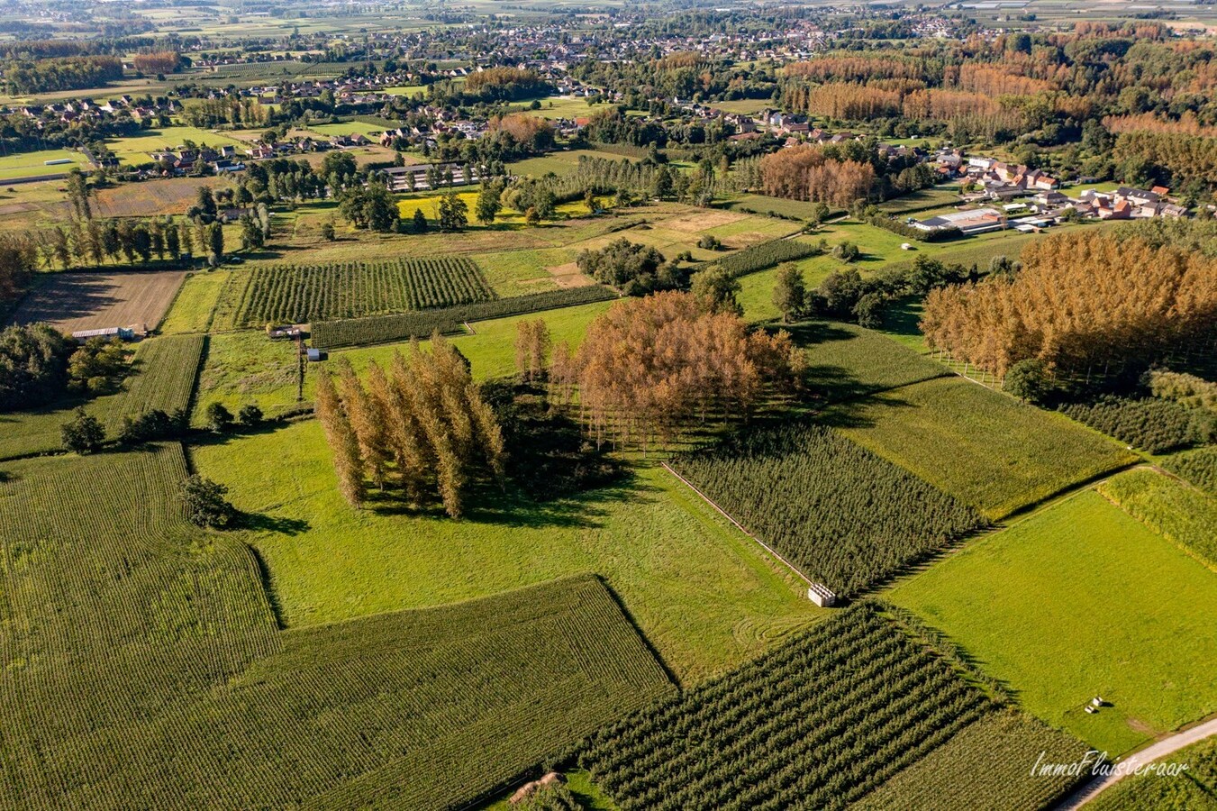 Paardenaccommodatie met binnenpiste op ca. 6ha te Wellen 