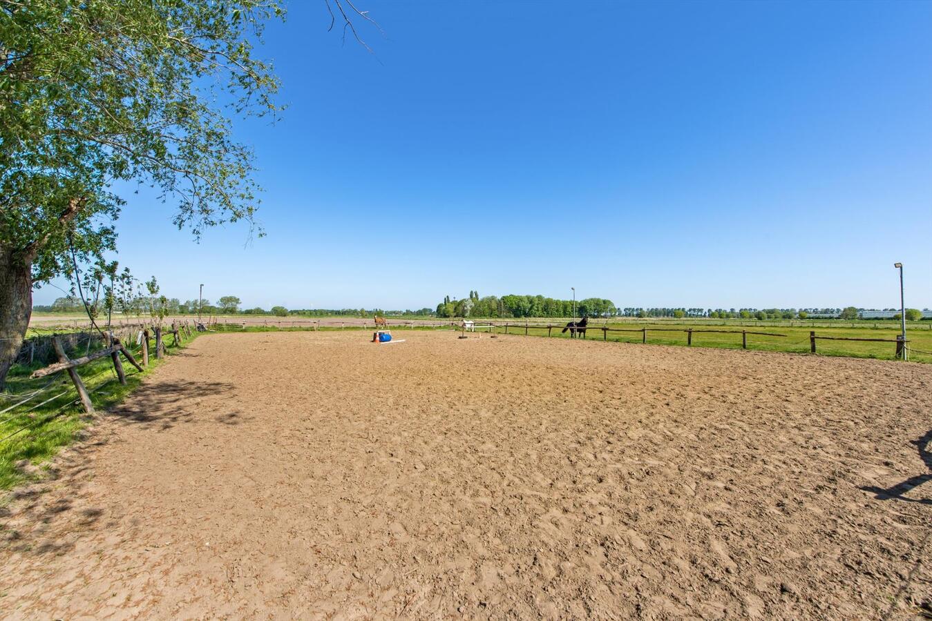 Alleenstaand landhuis met stallen op 2,2 HA te Eernegem 