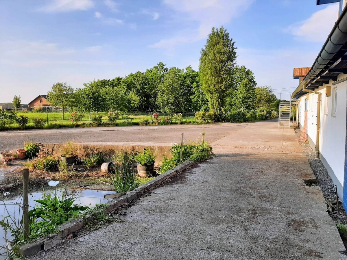 Idyllische eigendom met ruim stalgebouw en bijgebouw 