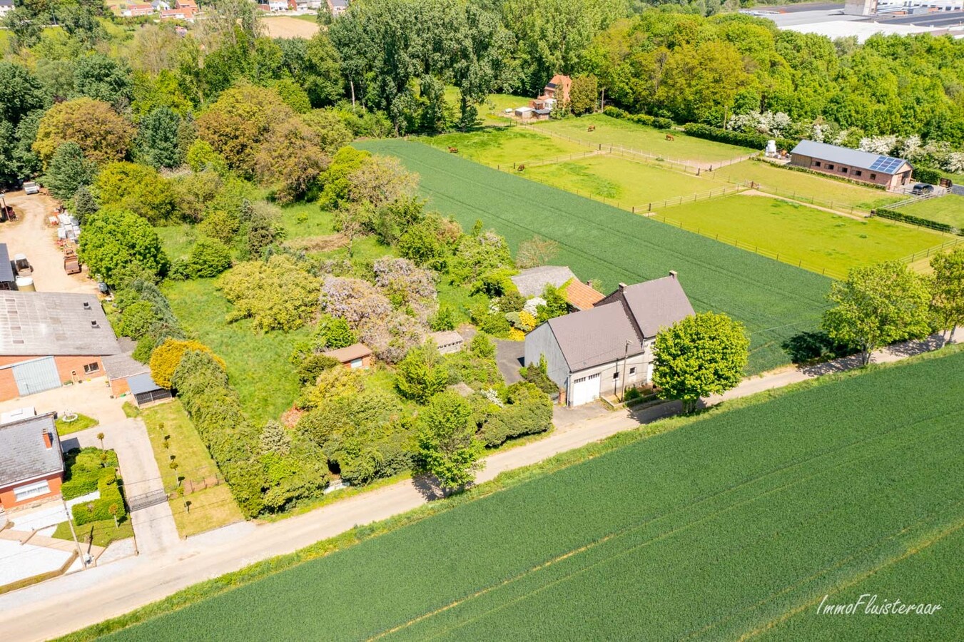 Maison calme et situ&#233;e &#224; la campagne avec d&#233;pendances sur environ 1,28 ha &#224; Bekkevoort (Brabant flamand). 