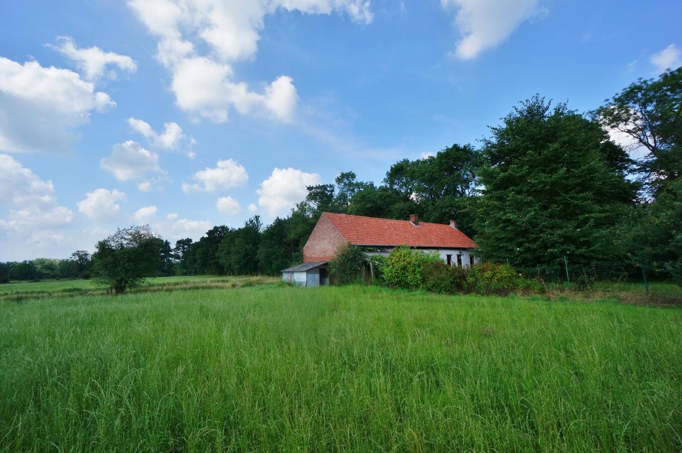 Te renoveren boerderij op unieke locatie op ca. 10ha te Diest 