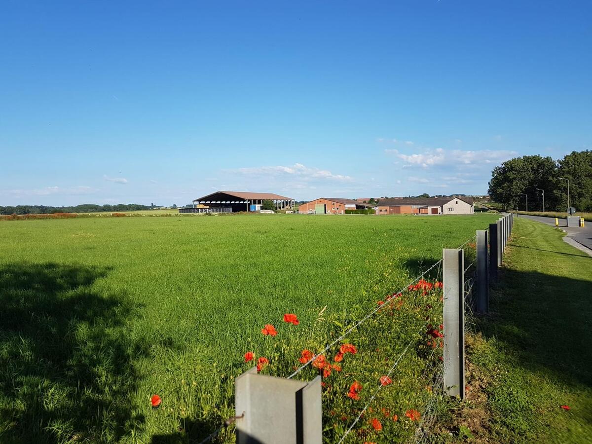 Degelijke woning met grote stalgebouwen op ca. 2ha te Gutschoven (Heers) 