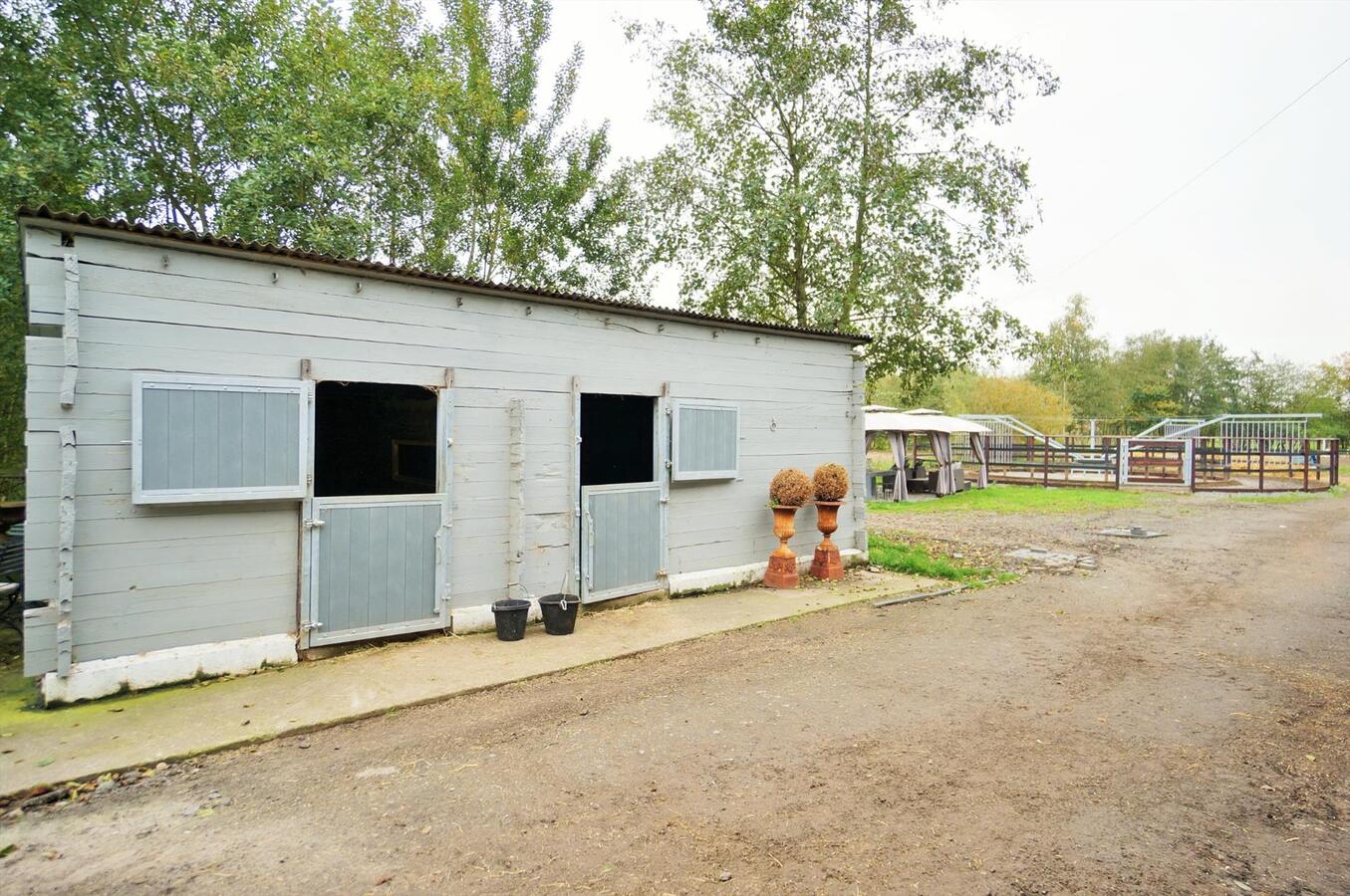 Vrijstaande villa met zwembad, poolhouse, stallen, buitenpiste en stapmolen op ca. 2,26 ha te Putte 