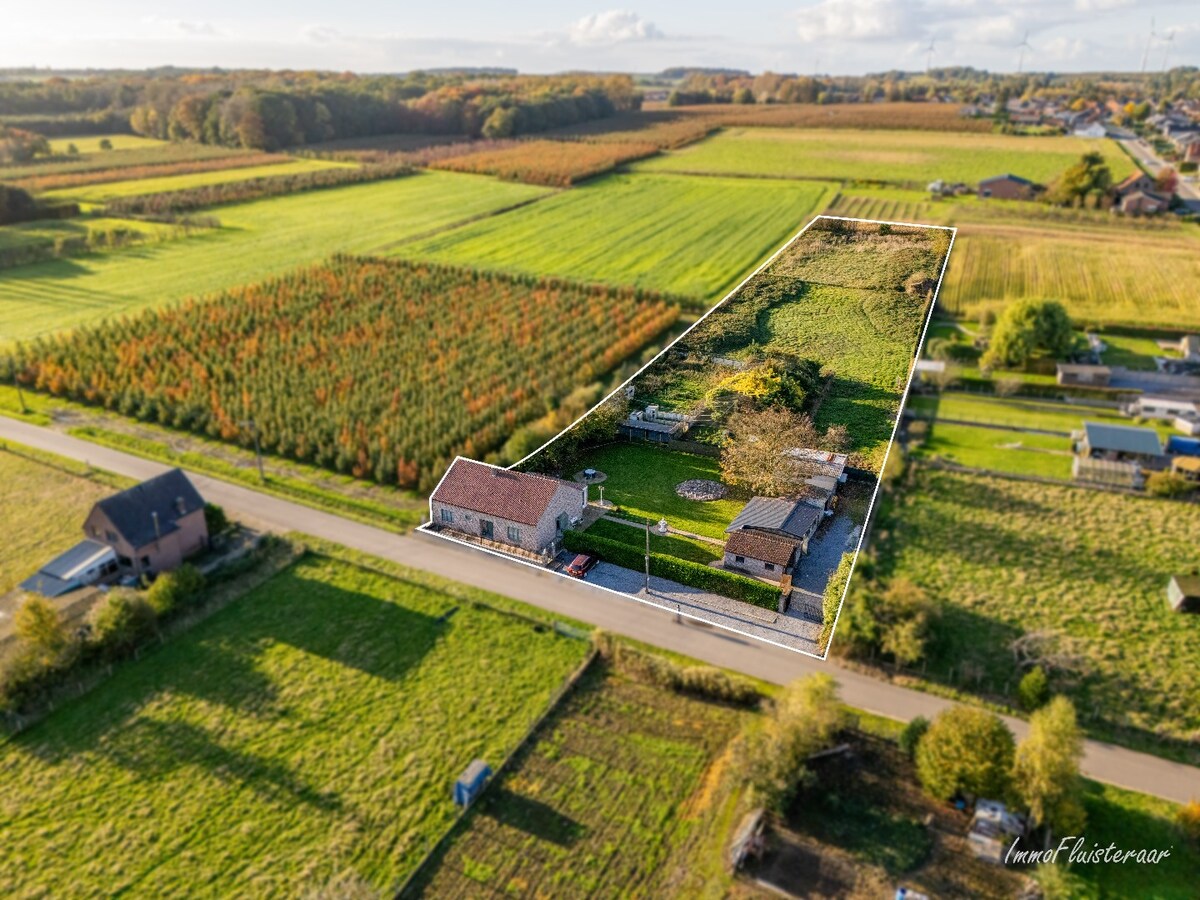 Charmante woning op een ruim perceel van ca. 78 are te Loksbergen (Halen) 