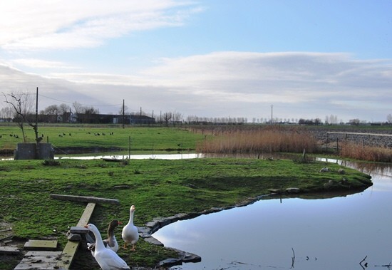 Farm sold in Leffinge