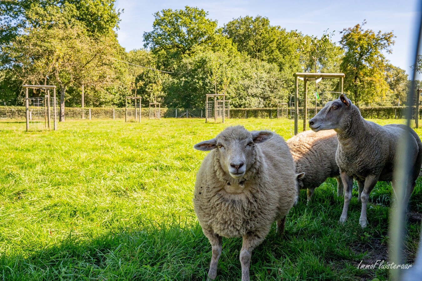 Unieke hoeve op een uitzonderlijke locatie op ca. 5ha te Peer 