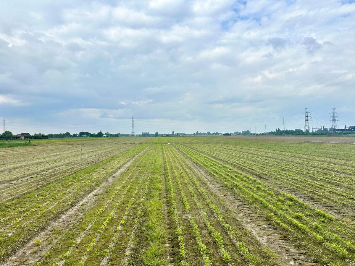 Landbouwgrond van ca. 1,2 ha te Lievegem 