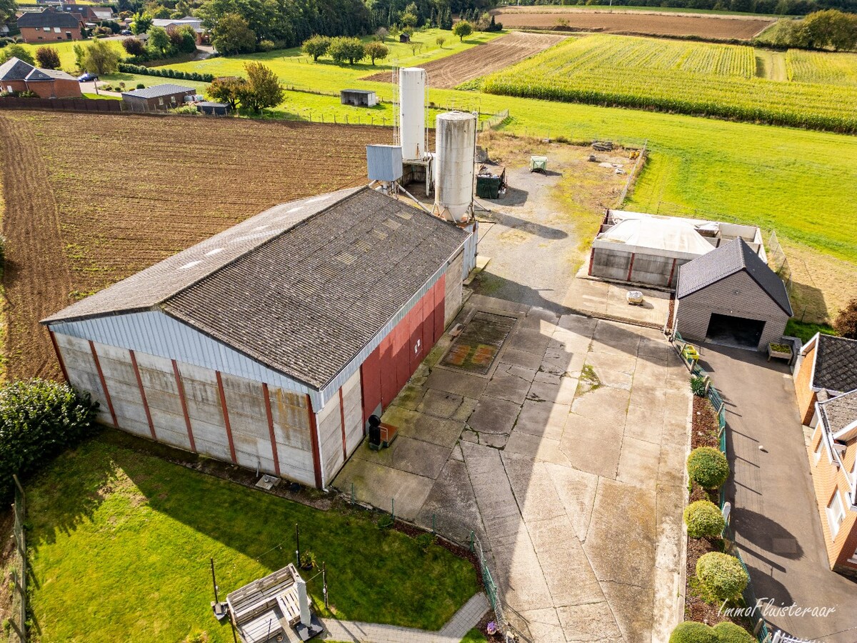 Charmant gerenoveerde woning met diverse bijgebouwen op ca. 1,9 ha te Bekkevoort. 