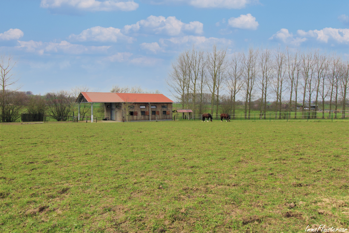 Woning met multifunctionele ruimte, stalgebouw, bouwgrond en weiland op ca. 1,67ha te Elzele (Henegouwen) 