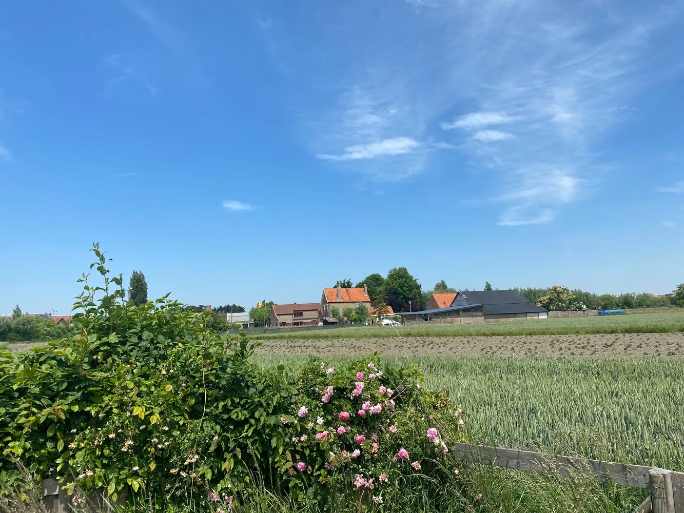 Ruime woning met 3 slaapkamers en een zuidgerichte tuin met een open zicht op de velden te Knokke. 