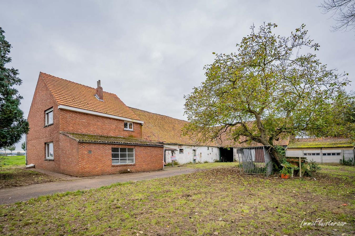 IN OPTIE - Te renoveren hoeve met woning, stallen, schuur en grond op ca. 5,6ha te Rotselaar (Vlaams-Brabant) 