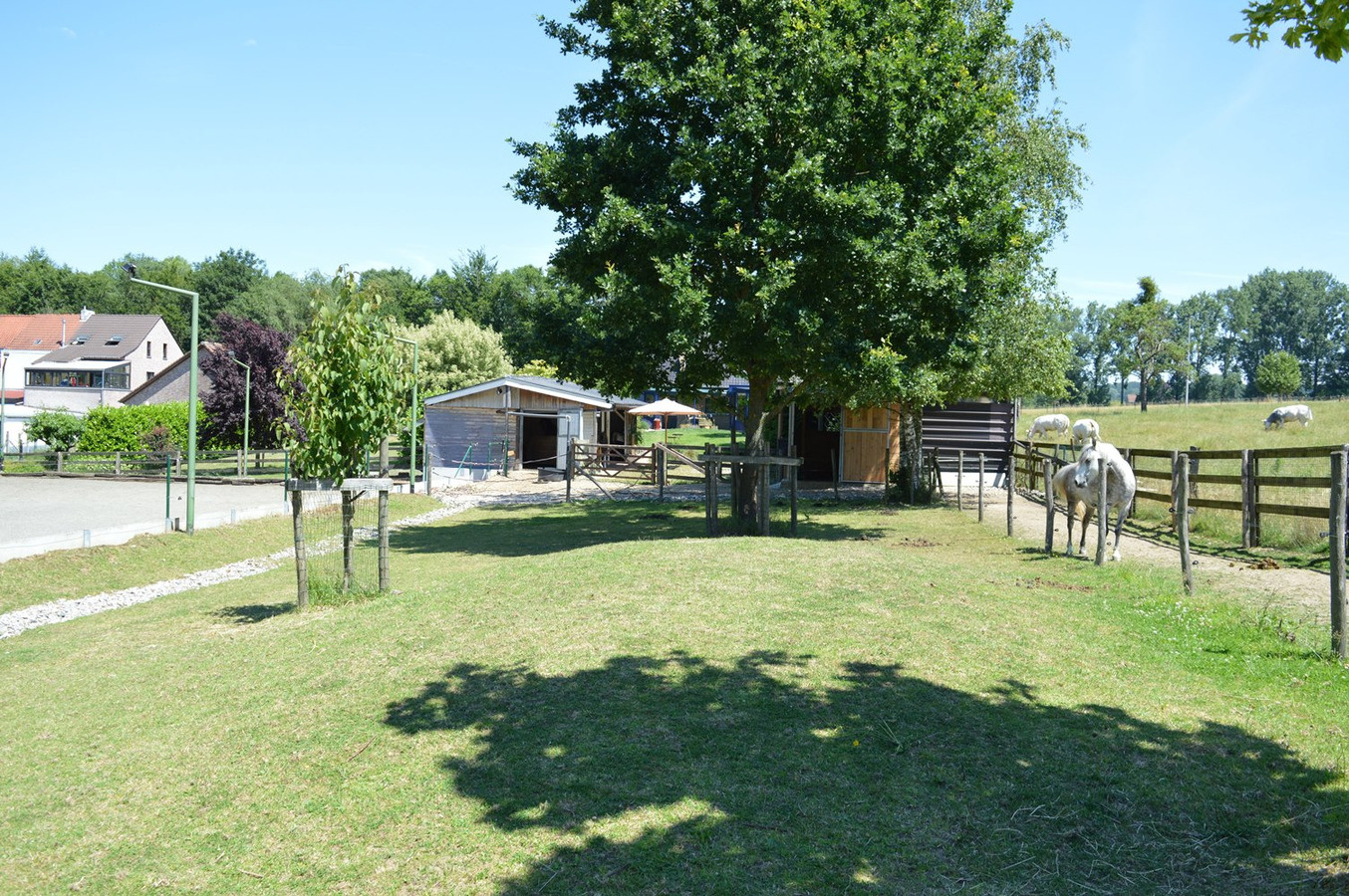 Mooie gezinswoning met stalgebouw en piste op ca. 5400m&#178; te Dworp 