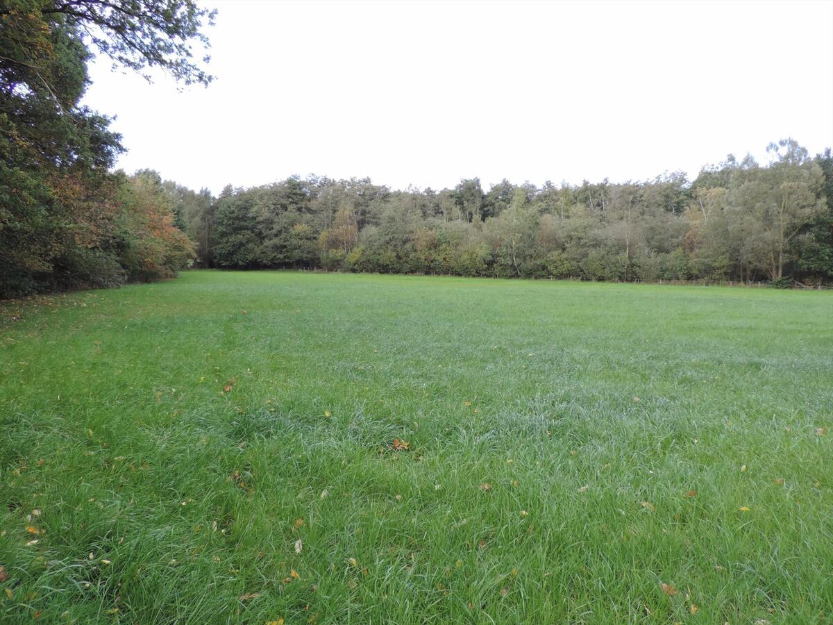 Charmant gerenoveerde hoeve met stallen en weiland op ca. 1,24ha te Zelem 