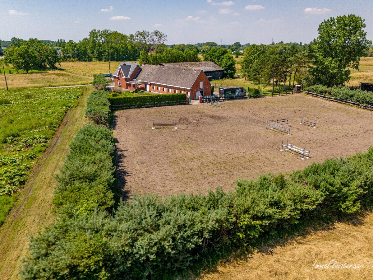 Paardenaccommodatie met woning op ca. 80a te Duffel (Optioneel bij te kopen weilanden van ca. 3 ha) 