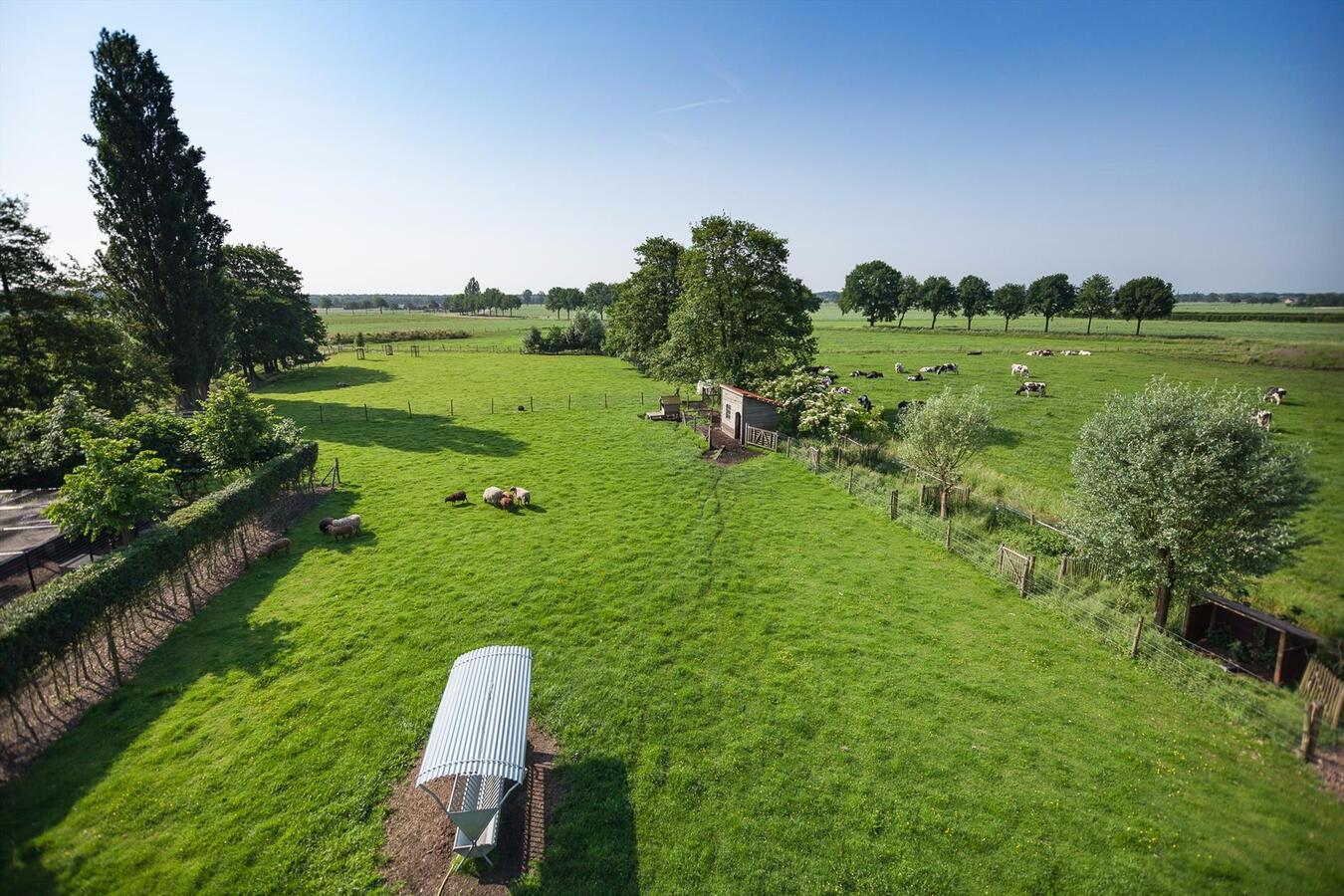 Charmante villahoeve met ingericht bijgebouw op ca. 80 are  te Wuustwezel 