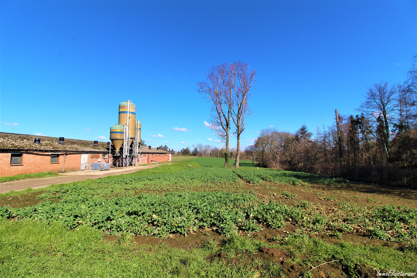 Farm sold in Scherpenheuvel-Zichem