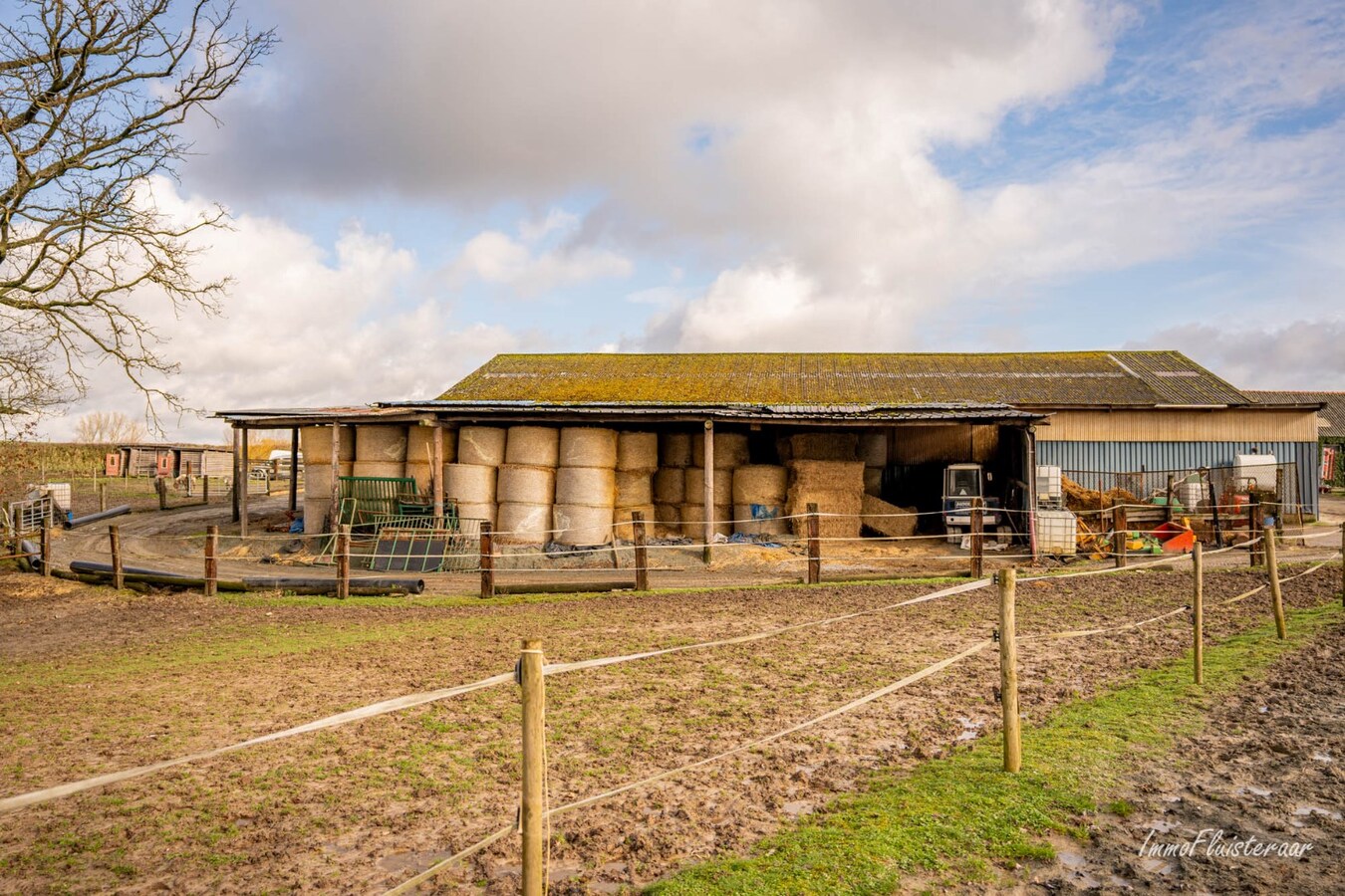 Prachtig paardencomplex met bedrijfswoning, ca. 33 stallen en binnenpiste op meer dan 5,6ha te Bever (Vlaams-Brabant) 