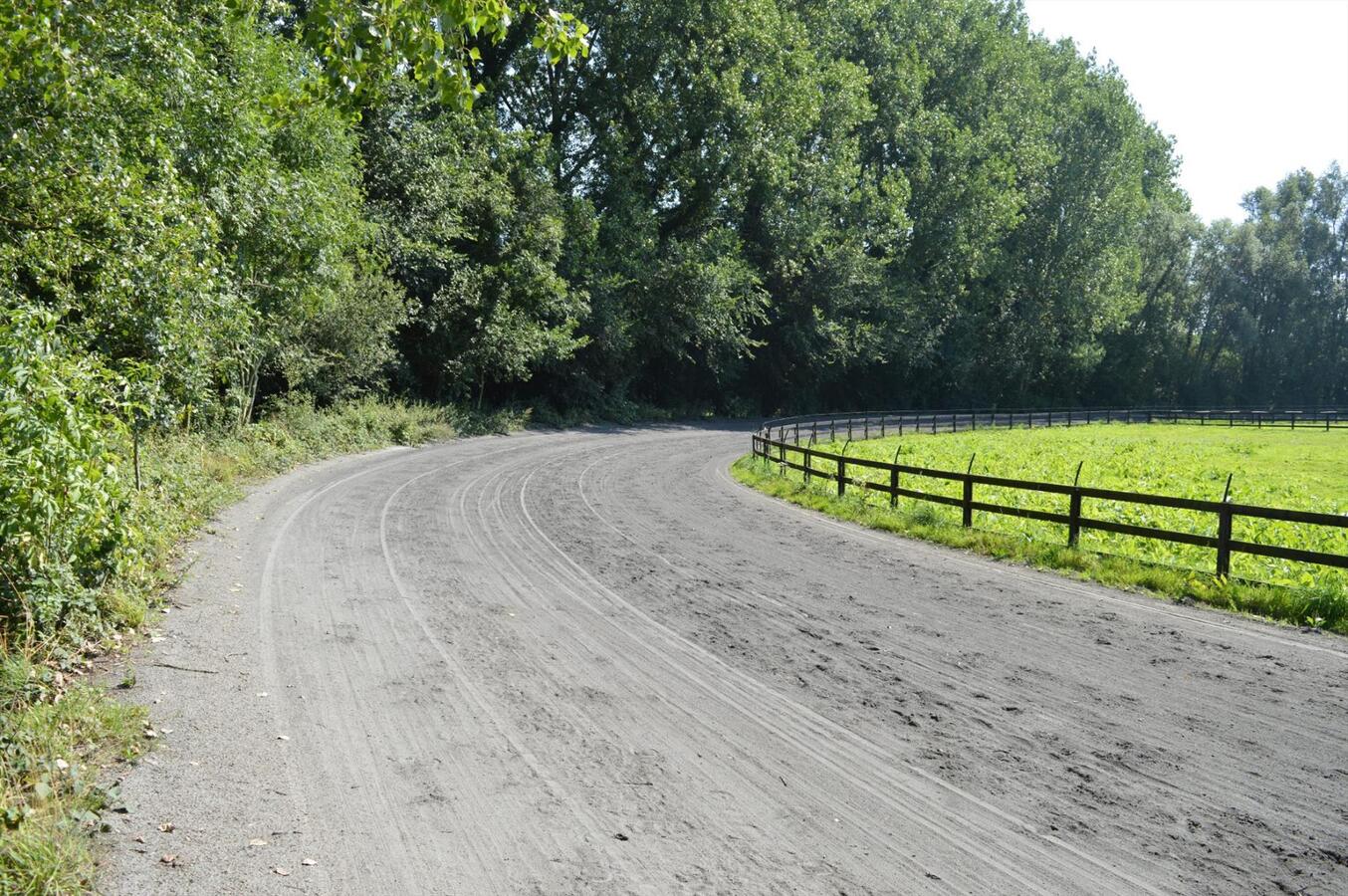 Paardenhouderij met 40 stallen en drafbaan op 4,64ha te Brakel 