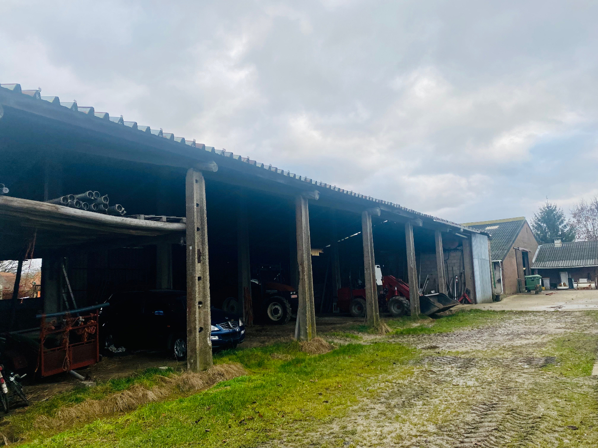 Boerderij met charmante woning, ruime stalgebouwen en weides te koop op ca. 8ha te Bocholt 