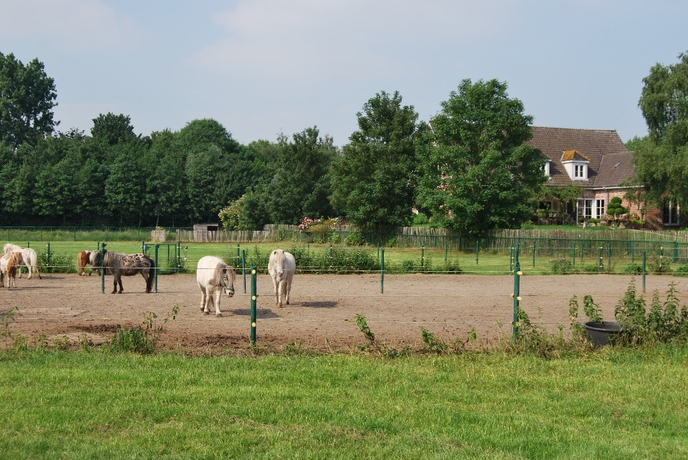 Villa op ca. 1,3ha aan de Leie te Petegem-aan-de-Leie 