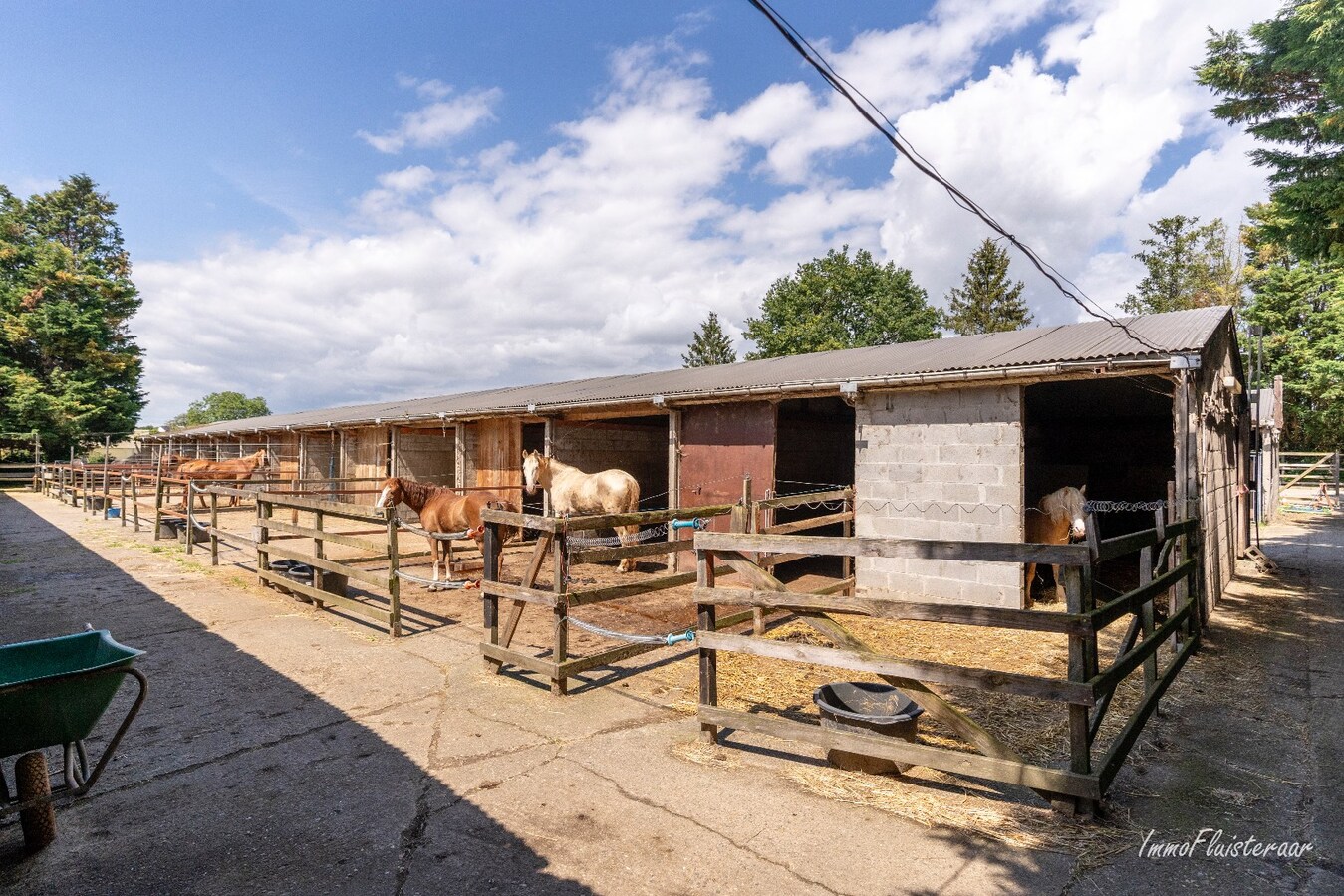 Paardenaccommodatie met 46 stallen, buitenpiste en hangaar op ca. 55 are te Linkhout (Lummen) 