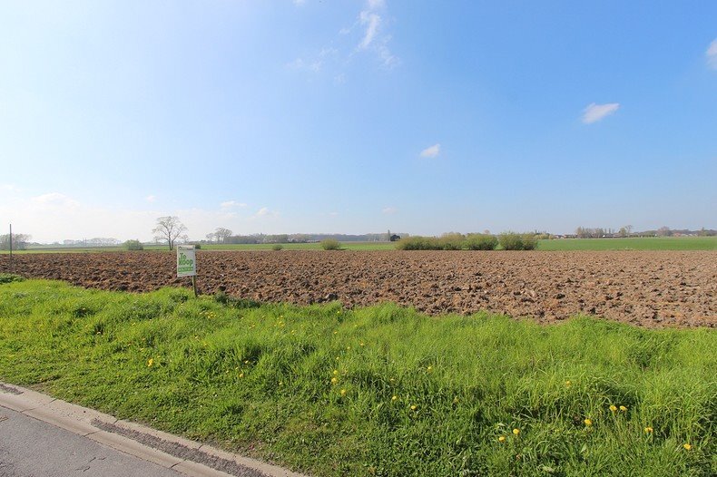 Perceel bouwgrond voor open bebouwing te Koekelare 