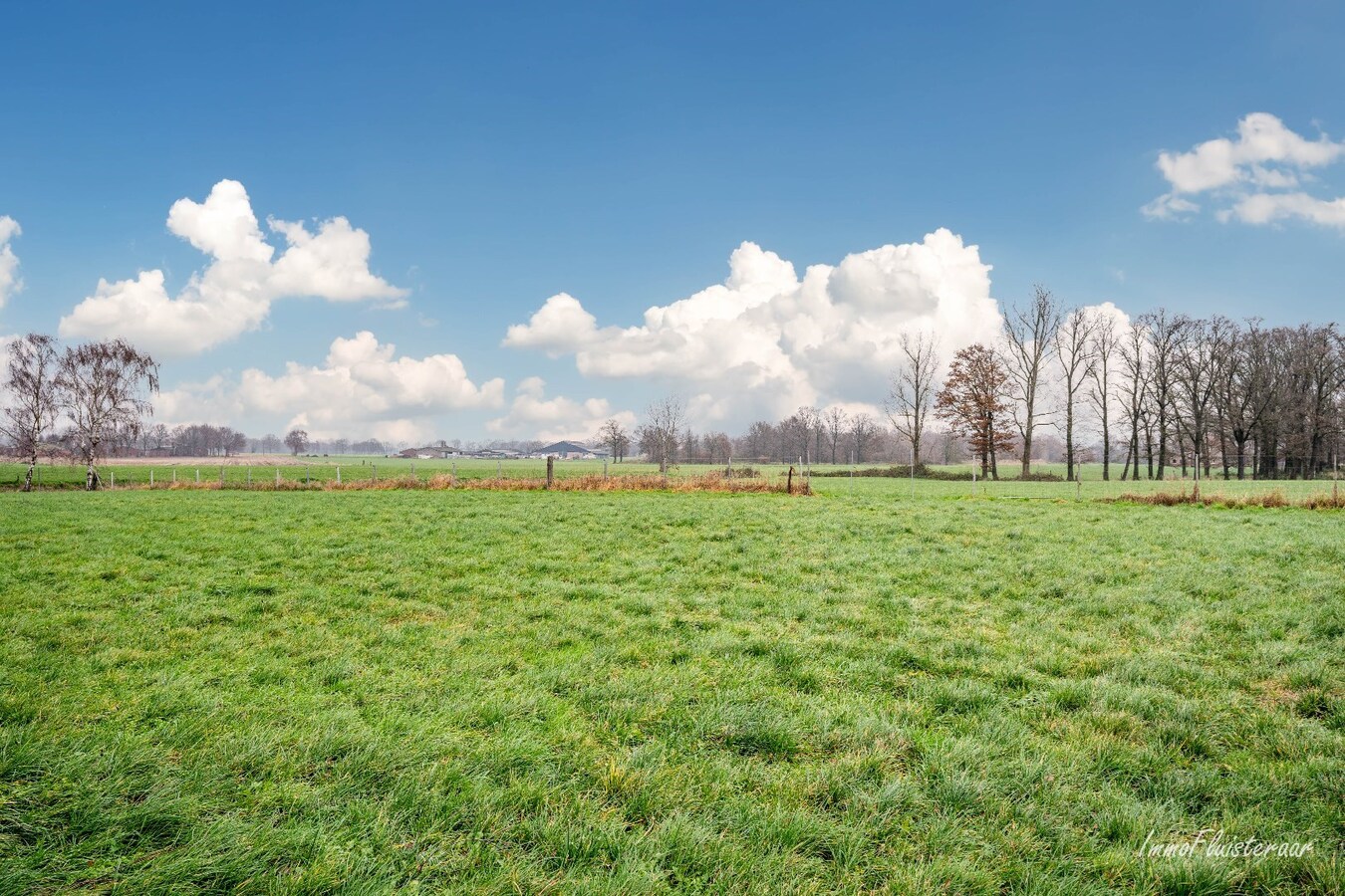 Instapklare hoevewoning met stallen op ca. 45 are te Kinrooi 